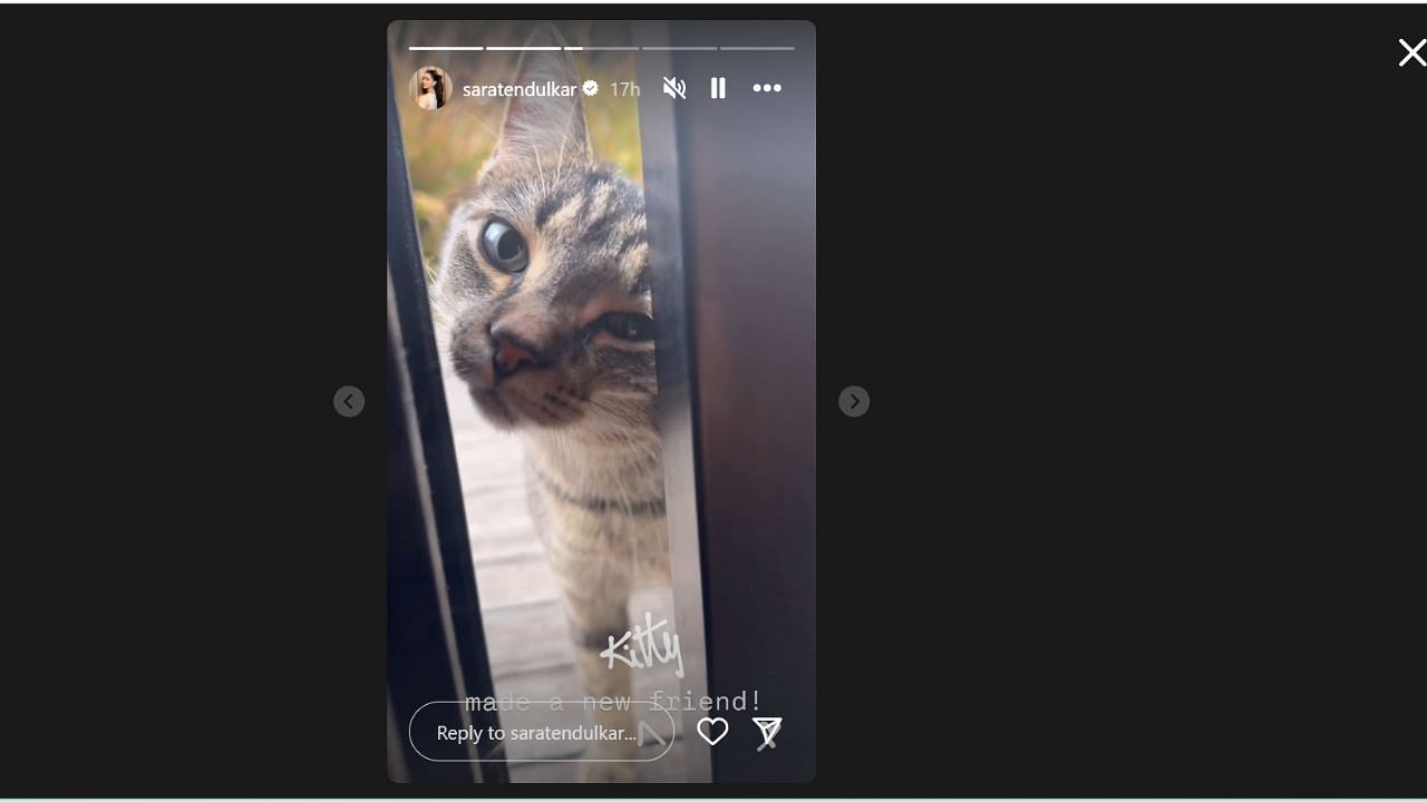 सारा तेंदुलकर ने शेयर की इंस्टाग्राम स्टोरी (photo credit: instagram/saratendulkar)